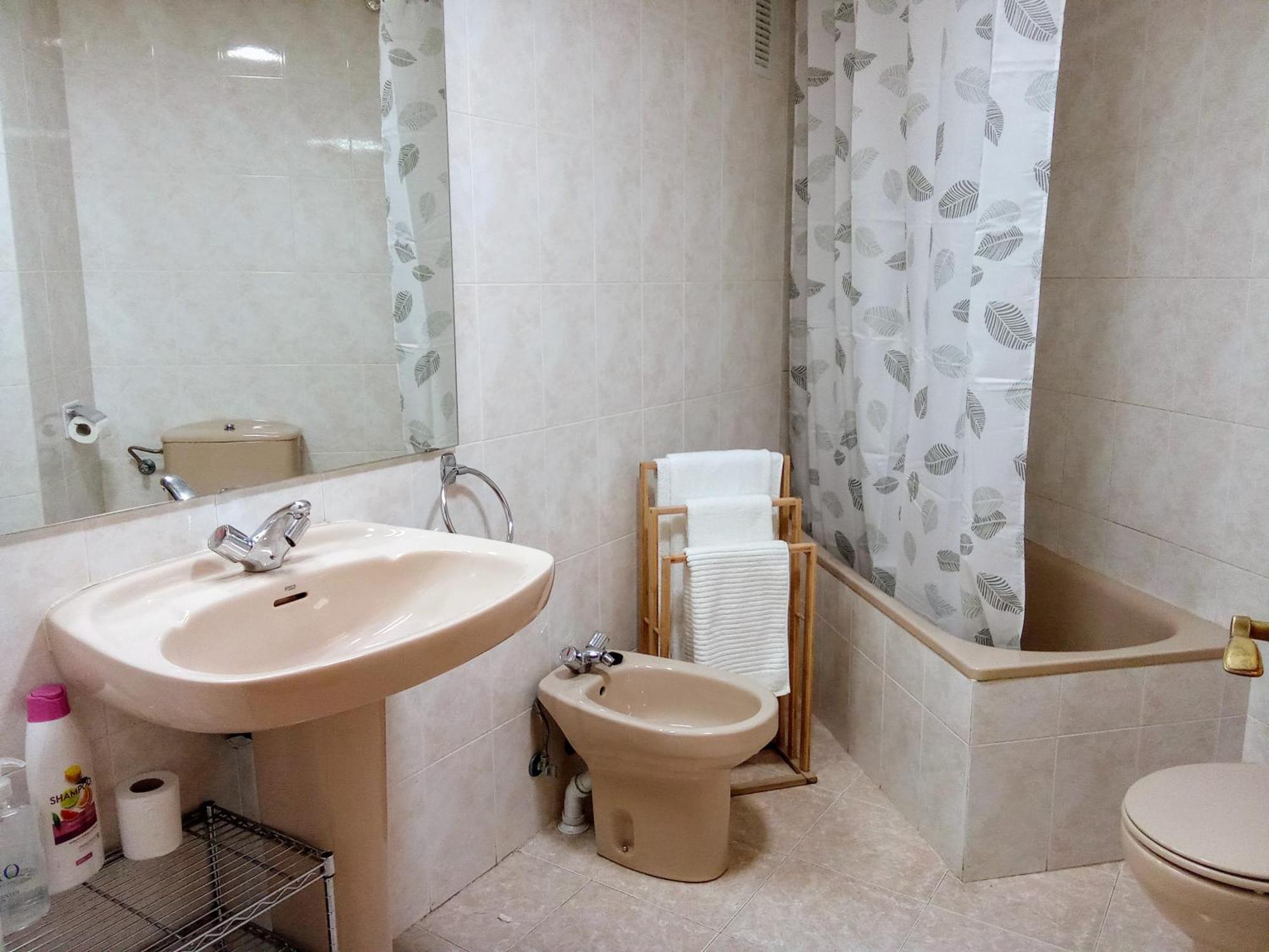 Tena Biescas Tourist Home 외부 사진